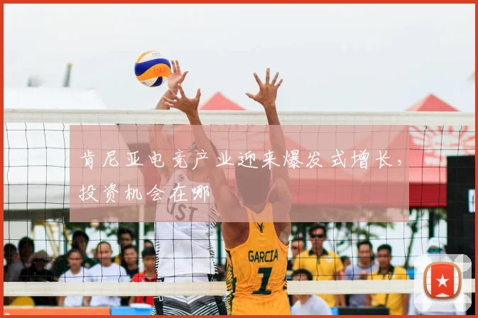 肯尼亚电竞产业迎来爆发式增长，投资机会在哪