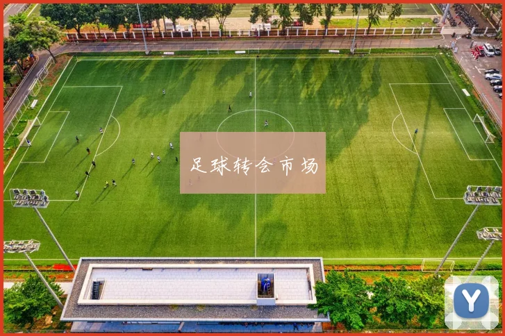 足球转会市场