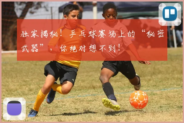 独家揭秘！乒乓球赛场上的“秘密武器”，你绝对想不到！