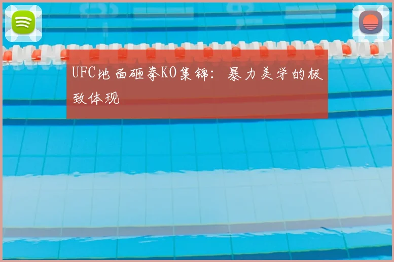 UFC地面砸拳KO集锦:暴力美学的极致体现