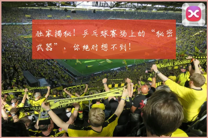 独家揭秘!乒乓球赛场上的“秘密武器”,你绝对想不到!