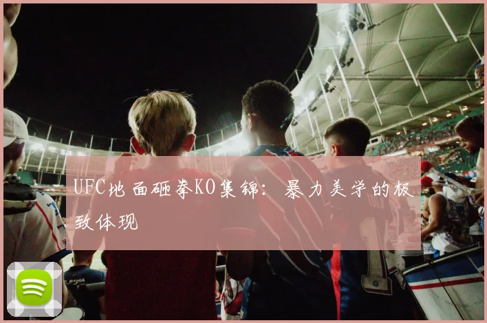 UFC地面砸拳KO集锦:暴力美学的极致体现