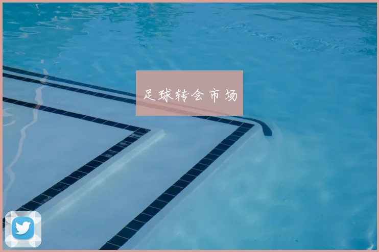足球转会市场